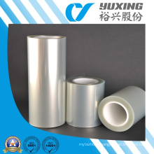 Clear Polyester Pet Film (CY20DW)